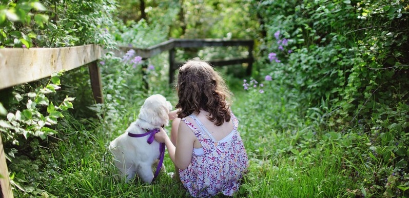 play outdoors safely