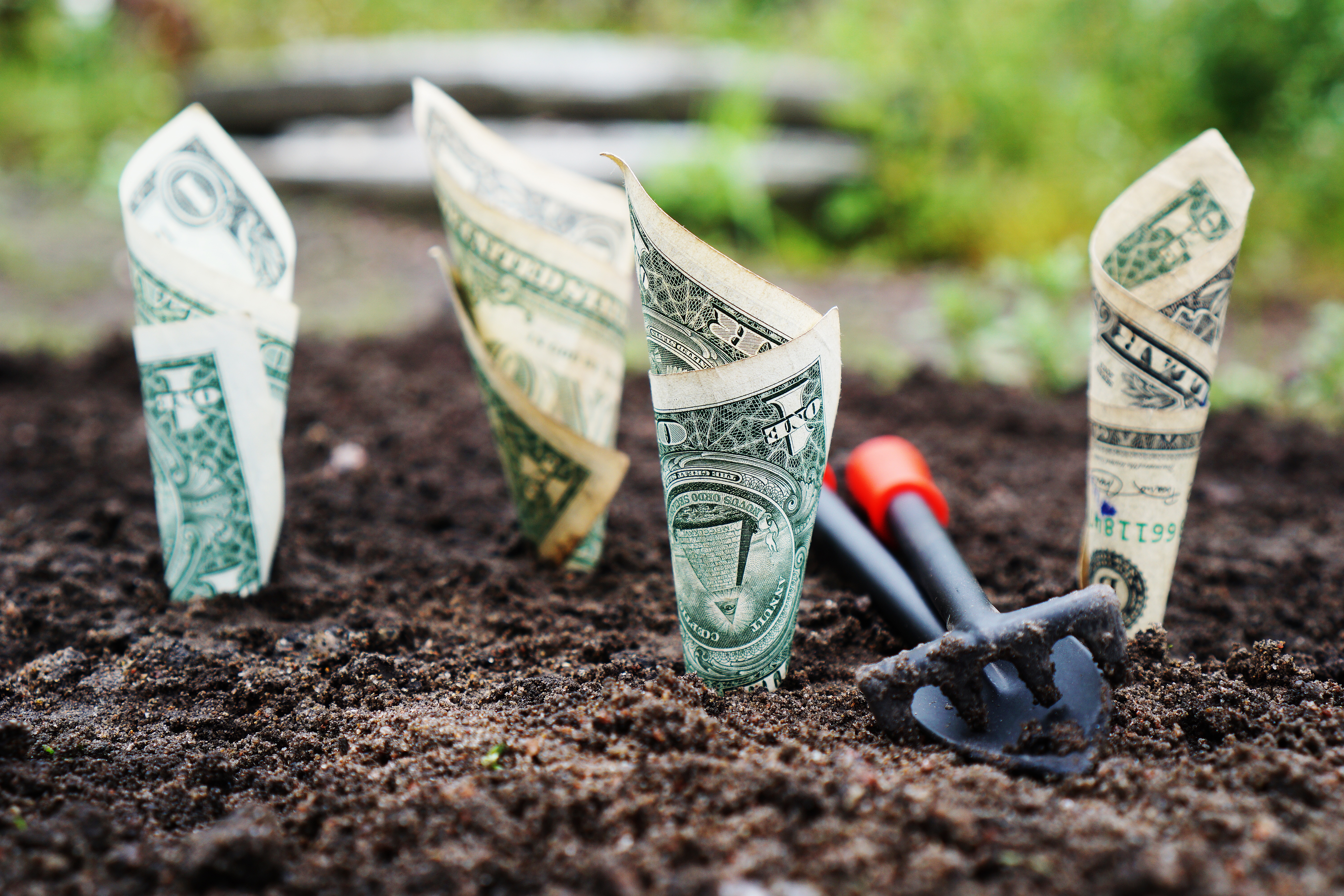 rolled up dollar bills stuck in ground of child's garden with toy gardening tools